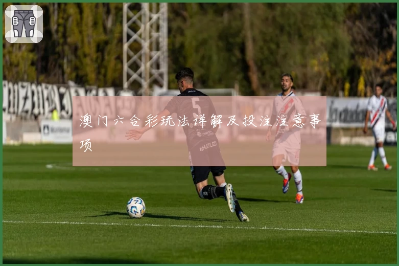 澳门六合彩玩法详解及投注注意事项