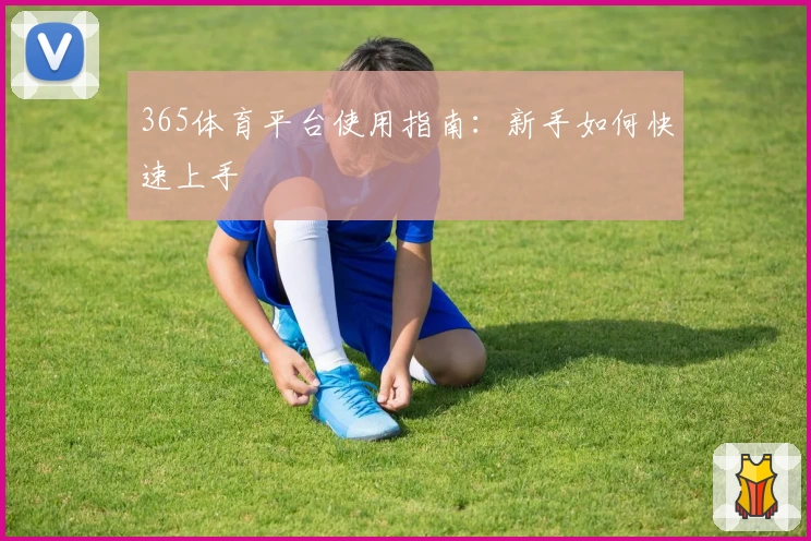 365体育平台使用指南：新手如何快速上手