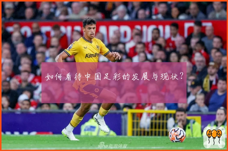 如何看待中国足彩的发展与现状？