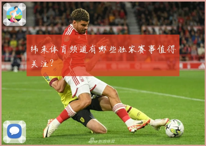 纬来体育频道有哪些独家赛事值得关注？