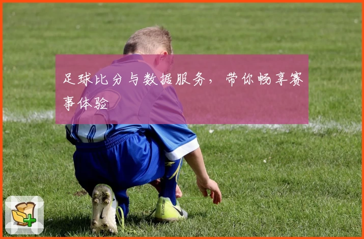 足球比分与数据服务，带你畅享赛事体验