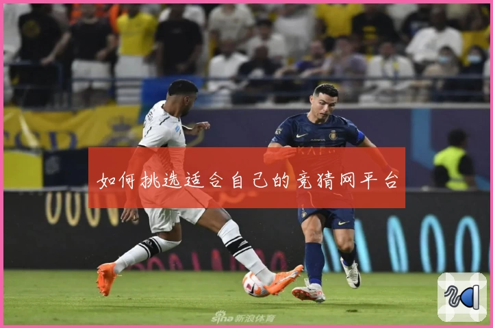如何挑选适合自己的竞猜网平台