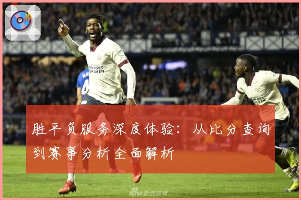 胜平负服务深度体验：从比分查询到赛事分析全面解析