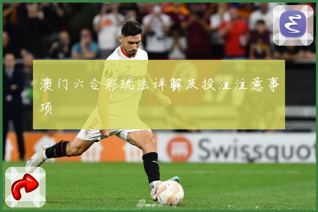 澳门六合彩玩法详解及投注注意事项