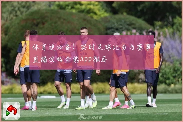 体育迷必备！实时足球比分与赛事直播攻略全能App推荐