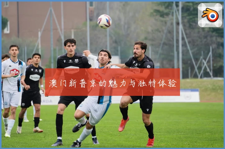 澳门新普京的魅力与独特体验