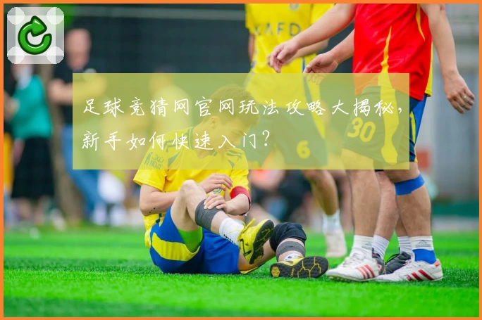 足球竞猜网官网玩法攻略大揭秘，新手如何快速入门？