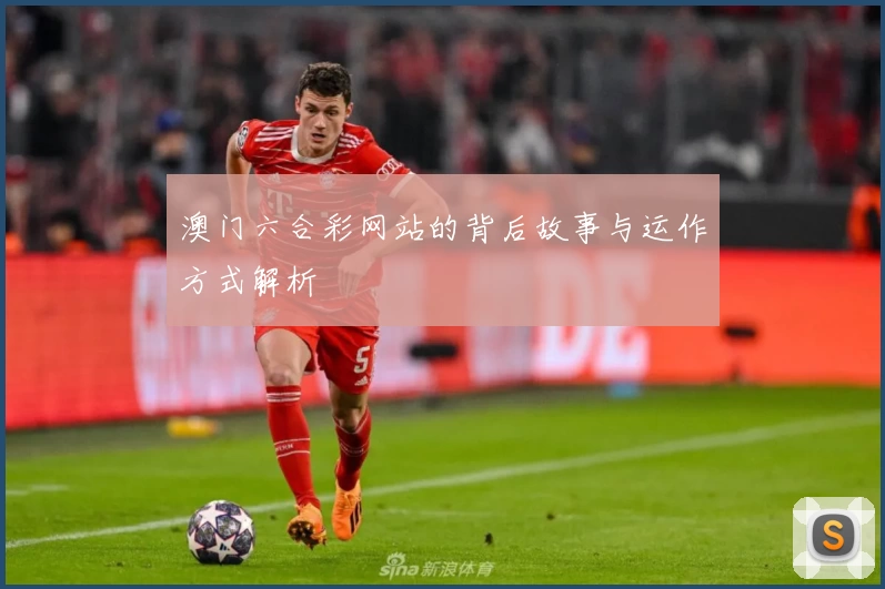 澳门六合彩网站的背后故事与运作方式解析