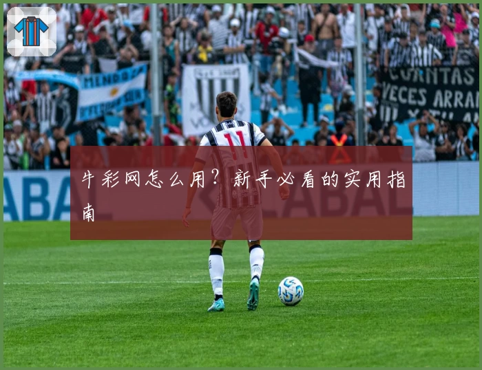 牛彩网怎么用？新手必看的实用指南