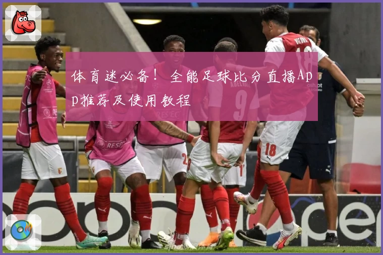 体育迷必备！全能足球比分直播App推荐及使用教程
