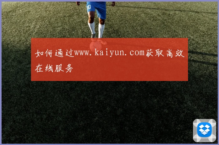 如何通过www.kaiyun.com获取高效在线服务