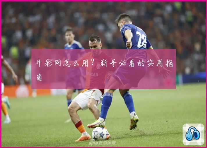 牛彩网怎么用？新手必看的实用指南
