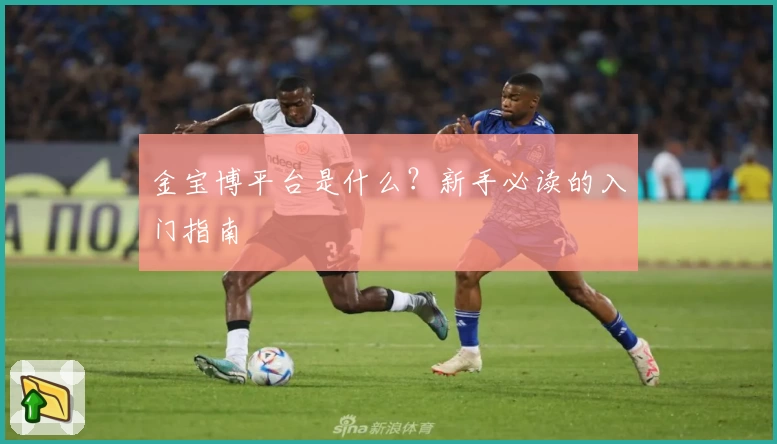 金宝博平台是什么？新手必读的入门指南