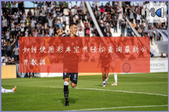 如何使用彩库宝典轻松查询最新公开数据
