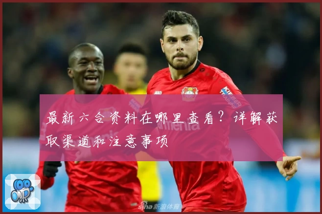 最新六合资料在哪里查看？详解获取渠道和注意事项
