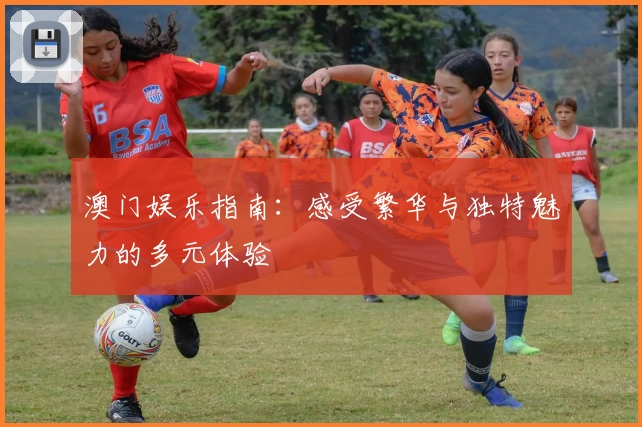 澳门娱乐指南：感受繁华与独特魅力的多元体验