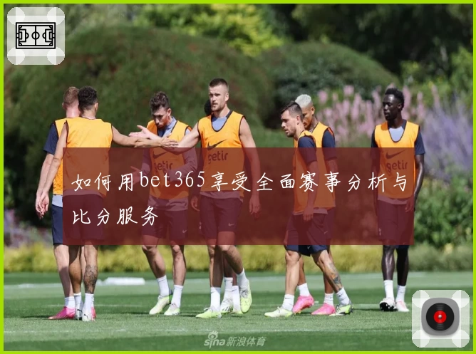 如何用bet365享受全面赛事分析与比分服务