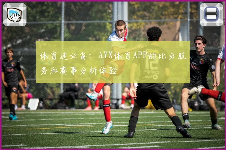 体育迷必备：AYX体育APP的比分服务和赛事分析体验