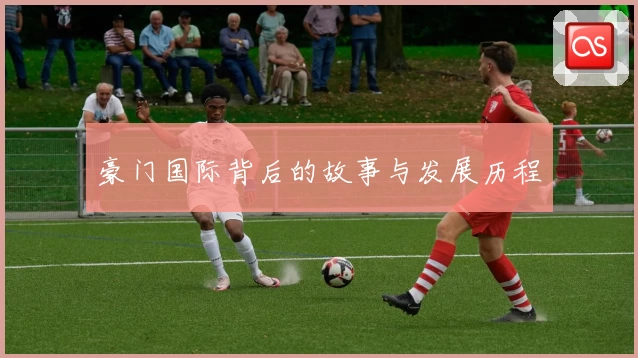 豪门国际背后的故事与发展历程