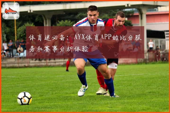体育迷必备：AYX体育APP的比分服务和赛事分析体验