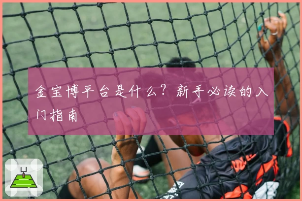 金宝博平台是什么？新手必读的入门指南