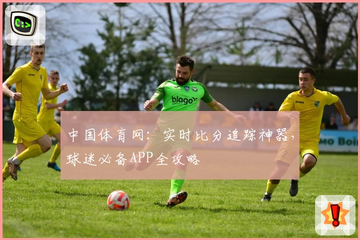 中国体育网：实时比分追踪神器，球迷必备APP全攻略
