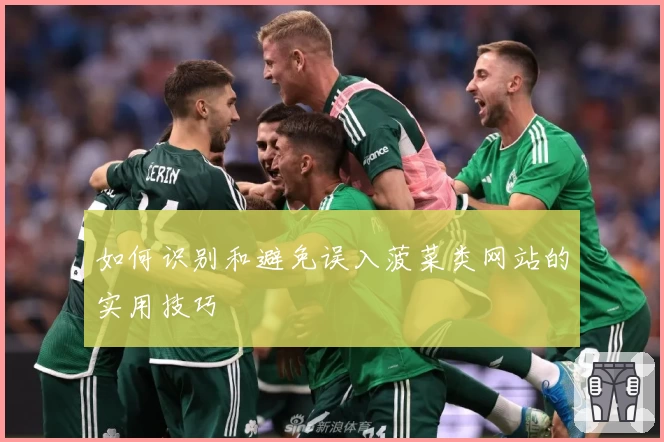 如何识别和避免误入菠菜类网站的实用技巧