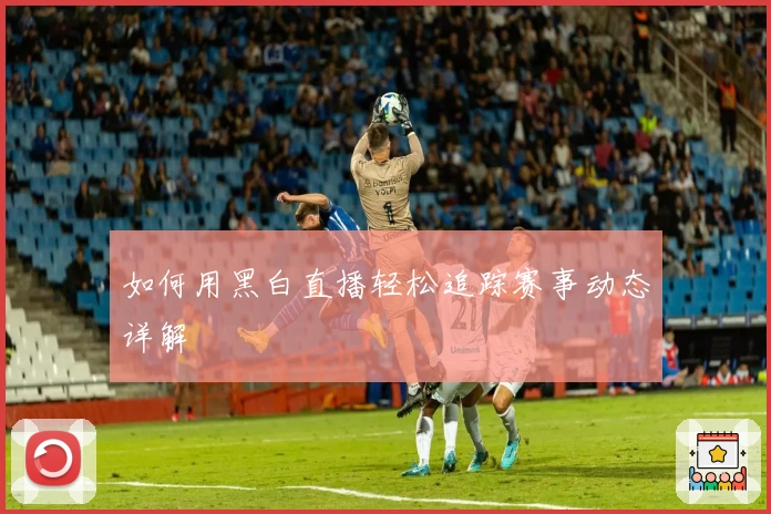 如何用黑白直播轻松追踪赛事动态详解