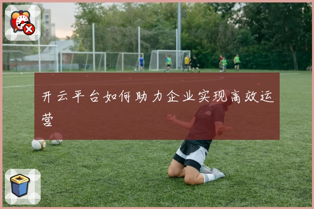 开云平台如何助力企业实现高效运营