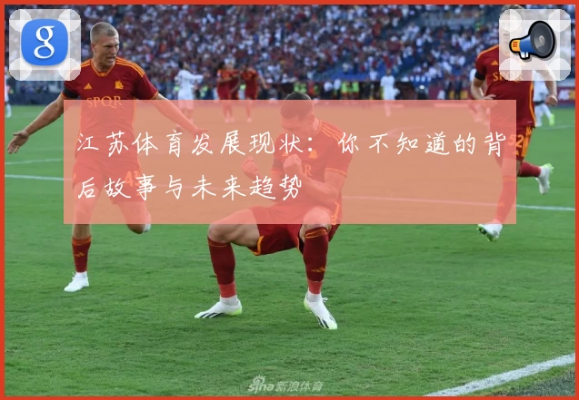 江苏体育发展现状：你不知道的背后故事与未来趋势