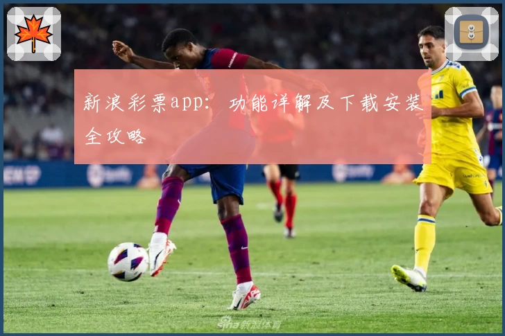 新浪彩票app：功能详解及下载安装全攻略