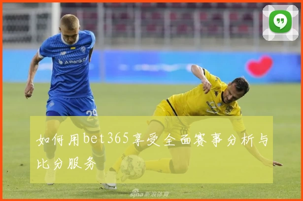 如何用bet365享受全面赛事分析与比分服务