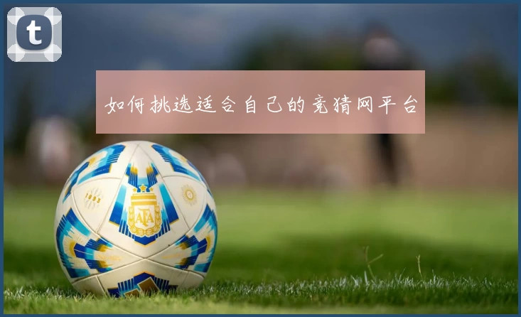 如何挑选适合自己的竞猜网平台