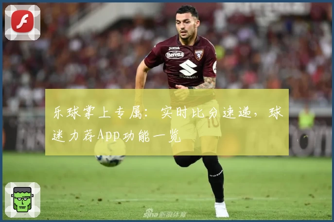 乐球掌上专属：实时比分速递，球迷力荐App功能一览