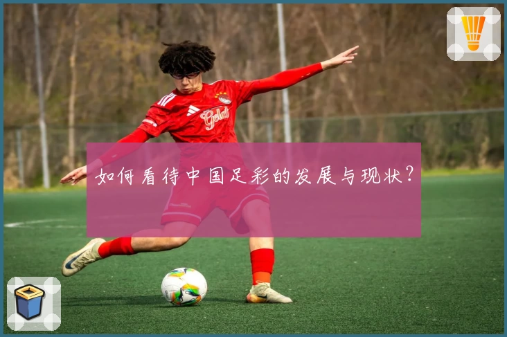 如何看待中国足彩的发展与现状？