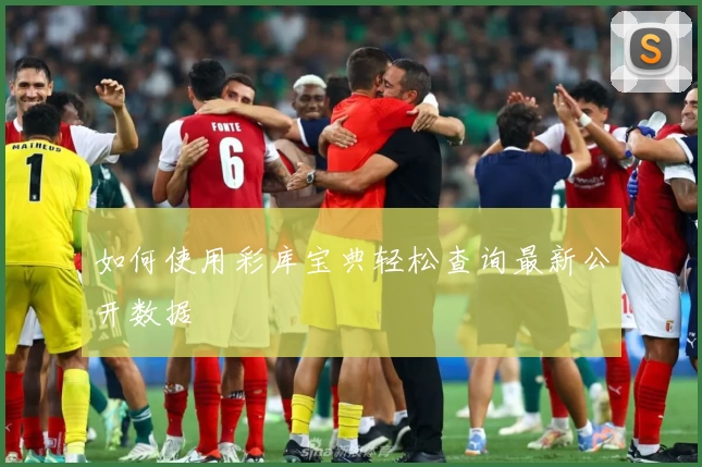 如何使用彩库宝典轻松查询最新公开数据