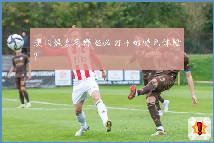 澳门娱乐有哪些必打卡的特色体验？