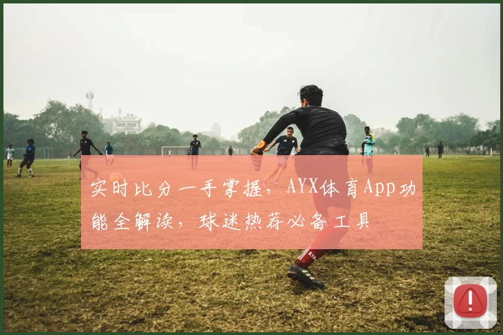 实时比分一手掌握，AYX体育App功能全解读，球迷热荐必备工具