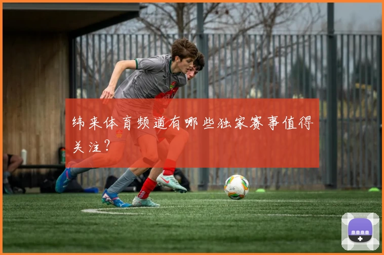 纬来体育频道有哪些独家赛事值得关注？