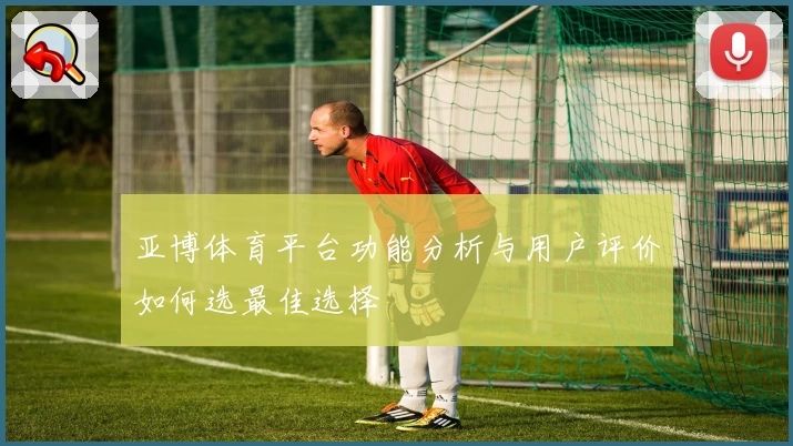 亚博体育平台功能分析与用户评价如何选最佳选择