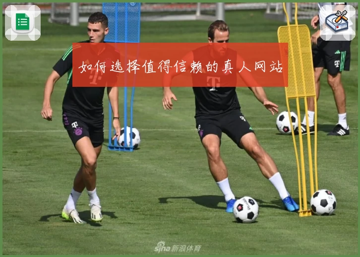 如何选择值得信赖的真人网站