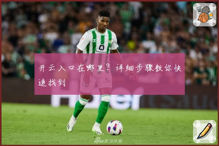 开云入口在哪里？详细步骤教你快速找到