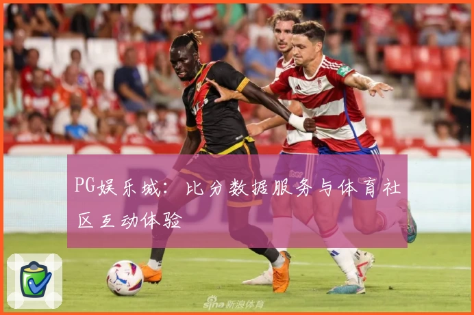 PG娱乐城：比分数据服务与体育社区互动体验